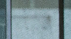 Actualmente, 270,000 chinos cursan estudios superiores en EE.UU.