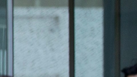 Actualmente, 270,000 chinos cursan estudios superiores en EE.UU.