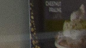 Grandes empresas pidieron evaluaciones parecidas luego de que Mangione disparó y mató a Thompson a finales del año pasado.