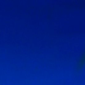 Adamari López, actriz y presentadora puertorriqueña.