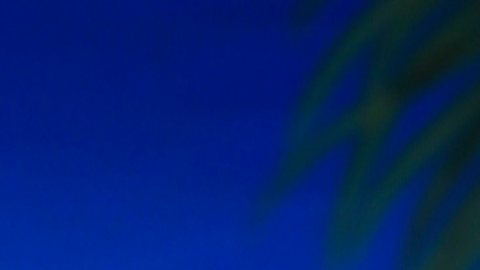 Adamari López, actriz y presentadora puertorriqueña.