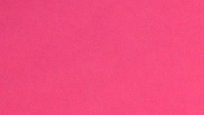 Adamari López, presentadora puertorriqueña de televisión.