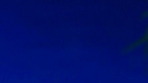 Adamari López, presentadora puertorriqueña de televisión.