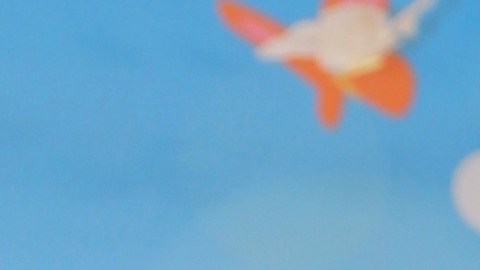 Adamari López y Toni Costa con su hija.