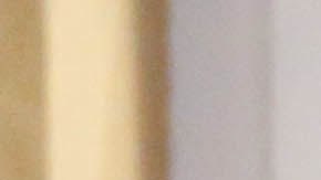 Adamari López y Toni Costa.