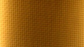 Aleska Génesis, modelo venezolana y creadora de contenido.