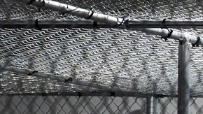 Florida apelará cierre de Alligator Alcatraz y mantendrá deportaciones