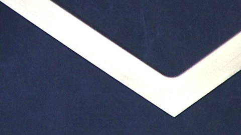 Ana Brenda Contreras.