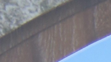 Angelique Boyer no piensa tener hijos con Sebastián Rulli.