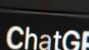 Nombran a bebé Chat Yipiti