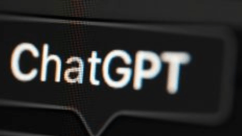 Nombran a bebé Chat Yipiti