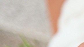 Padrino desata polémica en boda