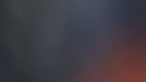 Franco Colapinto, piloto argentino.