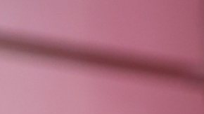 Carolina Sandoval, presentadora venezolana de televisión.