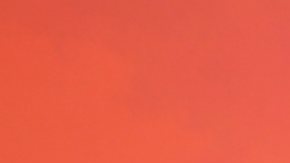 Carolina Sandoval, presentadora de televisión.