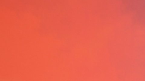 Carolina Sandoval, presentadora de televisión.