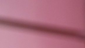 Carolina Sandoval, presentadora venezolana de televisión.