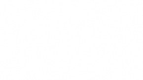 Consultas a Chat GPT