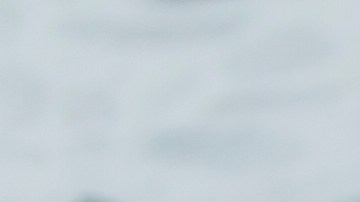 Los fanáticos de Chipotle podrán ganar comida gratis, puntos y más.