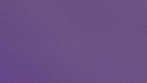 Chiquinquirá Delgado, presentadora venezolana de televisión.