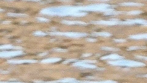 Chris Hemsworth cumplió 42 años.