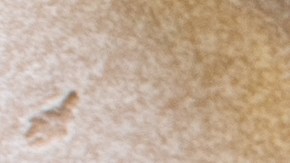 Aprende a incluir proteínas en tu alimentación con estos sencillos trucos.