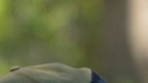 DHS confirmó que ampliará operaciones de ICE en Chicago pese a choques con autoridades locales