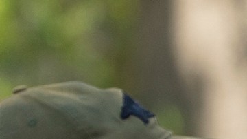 DHS confirmó que ampliará operaciones de ICE en Chicago pese a choques con autoridades locales