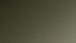 DHS dice que no se debe confiar en sistema para confirmar estatus de empleados