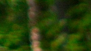 El AMC reúne a más de 90,000 aventureros, defensores y amantes de la vida al aire libre, con campamentos, refugios y actividades distribuidas a lo largo del histórico Appalachian Trail.