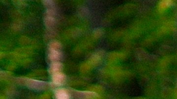 El AMC reúne a más de 90,000 aventureros, defensores y amantes de la vida al aire libre, con campamentos, refugios y actividades distribuidas a lo largo del histórico Appalachian Trail.