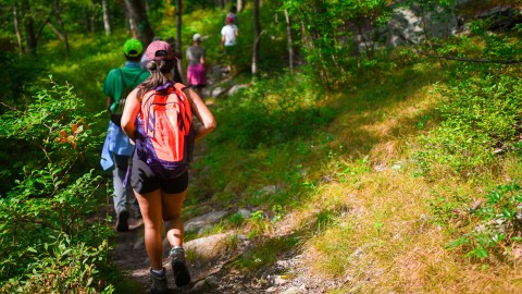 El AMC reúne a más de 90,000 aventureros, defensores y amantes de la vida al aire libre, con campamentos, refugios y actividades distribuidas a lo largo del histórico Appalachian Trail.