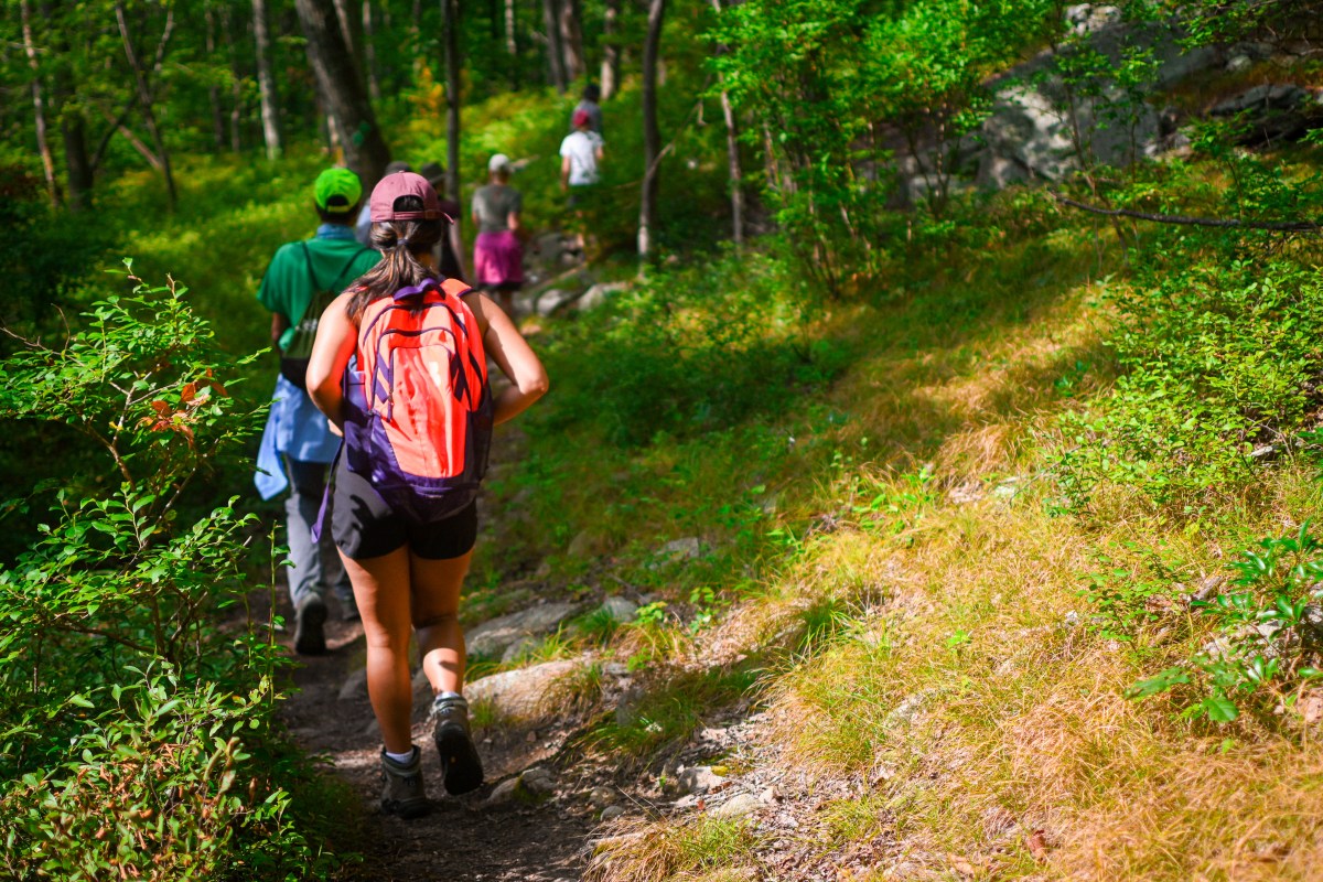 Excursiones del Appalachian Mountain Club: una invitación a desconectarse