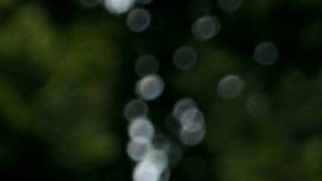 Dayanara Torres, presentadora y actriz puertorriqueña.