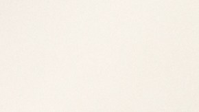 Un desperfecto mecánico generó las condiciones para la proliferación del moho.