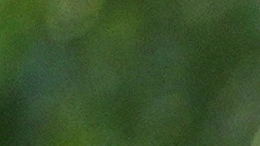 Donald Trump y Melania