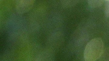 Donald Trump y Melania