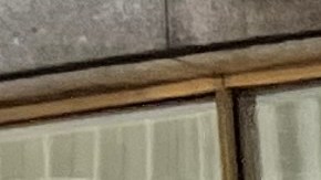 Desfile dominicano 2025 en la Sexta Avenida