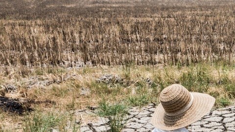 El cambio climático afecta la economía, la estabilidad social y la capacidad de producir alimentos para toda la población.