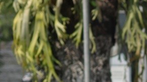 El reporte de empleo informó que en julio se generaron 73,000 empleos contra los 115,00 que estaban estimados.