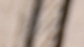 fáciles de preparar y rica en proteína.