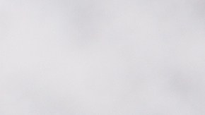 El producto etiquetado como ensalada de papas en realidad contiene ensalada de pastas.