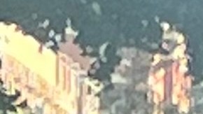 Presentan reporte sobre estado de Adultos mayores en NYC