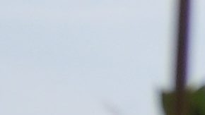 Imagen referencial funeral en Palestina.