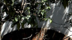 Gabriel Soto habla de su vida amorosa.