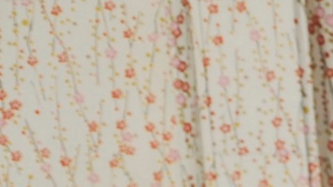 Gena Rowlands murió el 14 de agosto del año pasado.