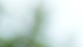 Guillermo del Toro desfiló por la alfombra roja junto a su hija y esposa.