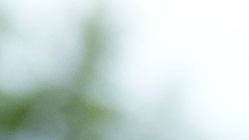 Guillermo del Toro desfiló por la alfombra roja junto a su hija y esposa.