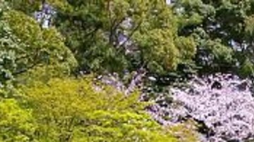 Después de la bomba atómica, Hiroshima seha convertido en uno de los principales centros industriales de Japón.