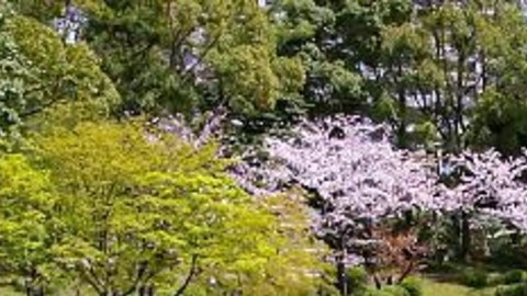 Después de la bomba atómica, Hiroshima seha convertido en uno de los principales centros industriales de Japón.